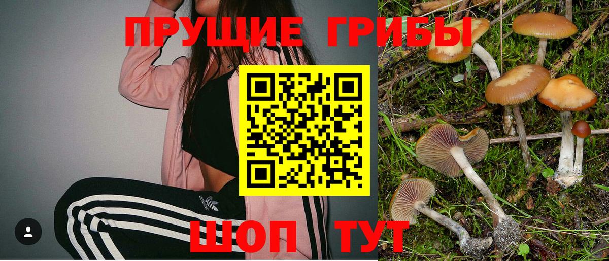 Галлюциногенные грибы мицелий Туймазы